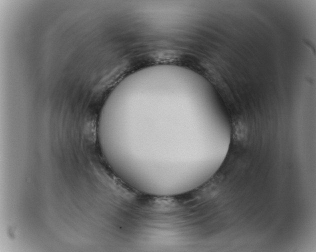 X0000103310666200809122053
