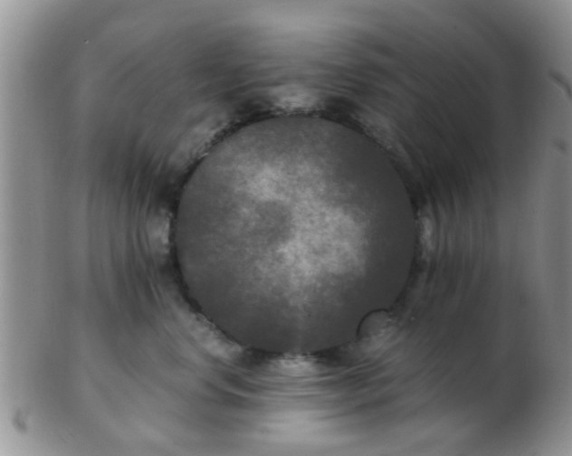 X0000103310668200809122053