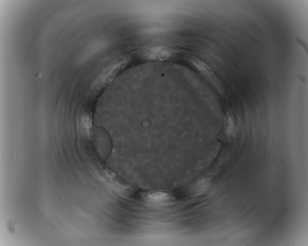 X0000103310669200809122053