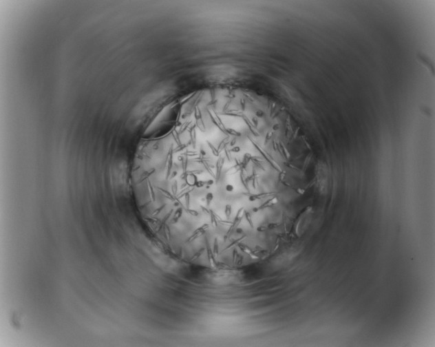 X0000103310670200809122053