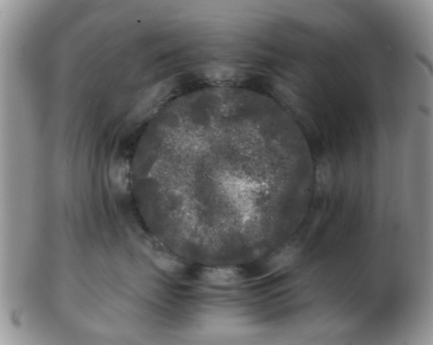 X0000103310671200809122053