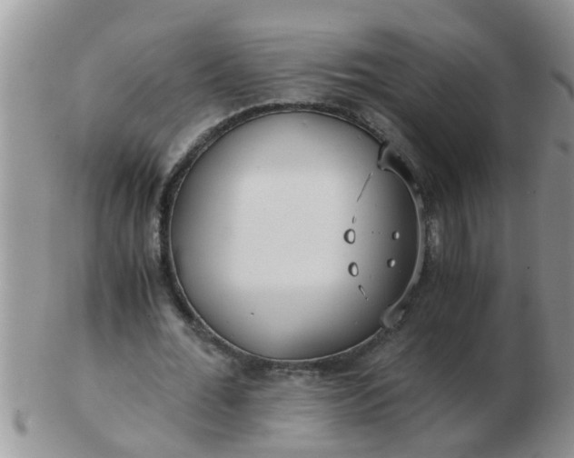 X0000103310676200809122052