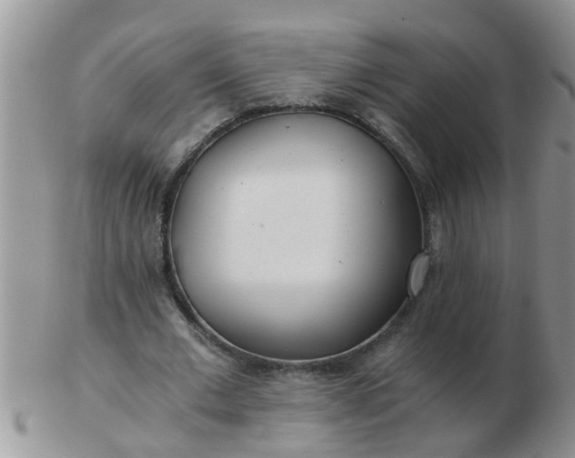 X0000103310677200809122052