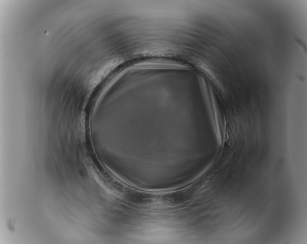 X0000103310678200809122052