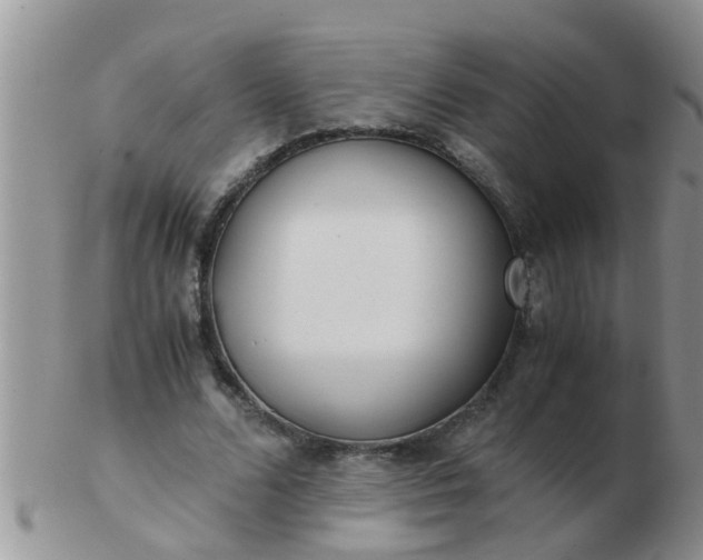 X0000103310680200809122052