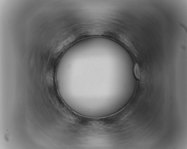 X0000103310681200809122052