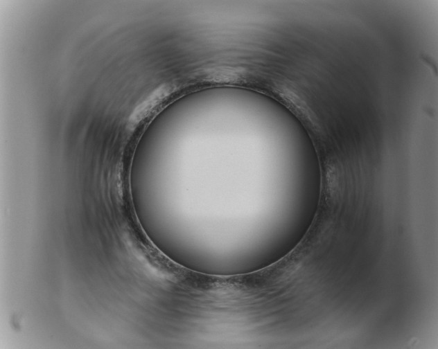 X0000103310682200809122052