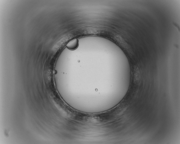 X0000103310683200809122052