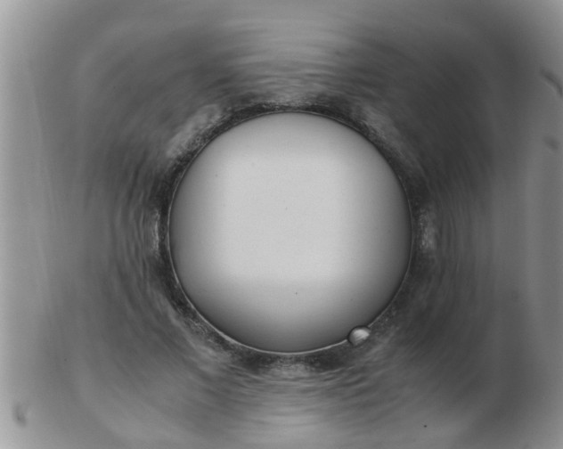 X0000103310685200809122052