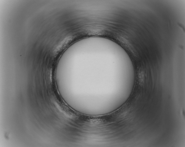 X0000103310686200809122052