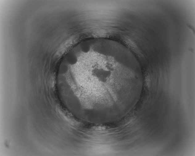 X0000103310687200809122052