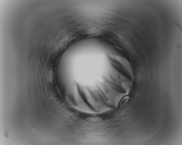 X0000103310689200809122052