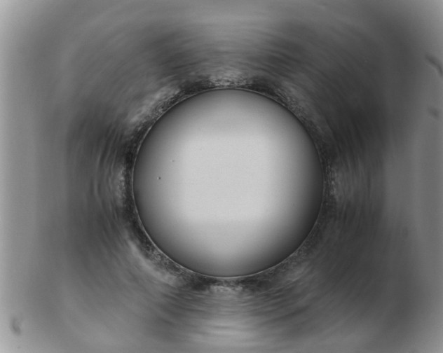 X0000103310690200809122052