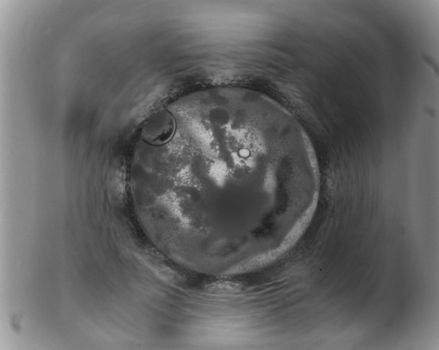 X0000103310691200809122052