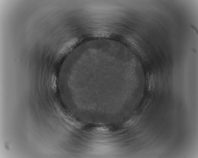 X0000103310692200809122052