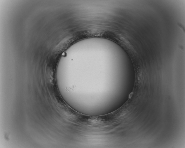 X0000103310693200809122052