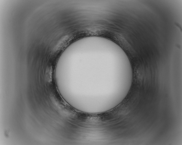 X0000103310694200809122052