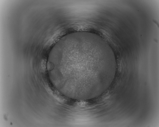 X0000103310695200809122052