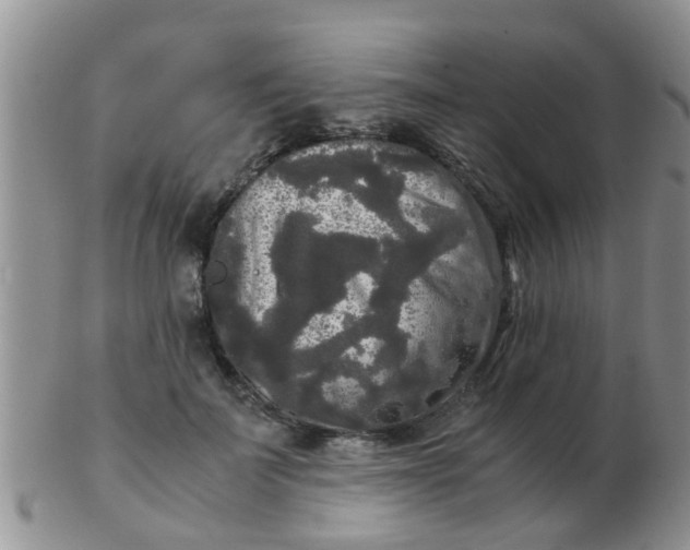 X0000103310699200809122052