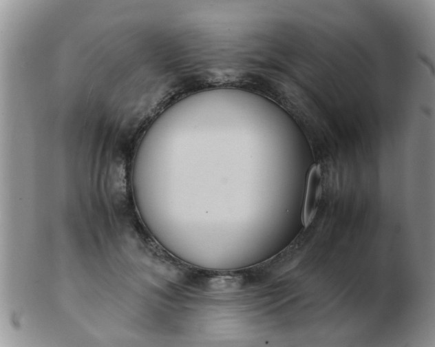 X0000103310700200809122052