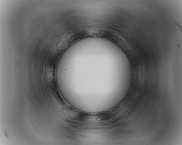 X0000103310702200809122052