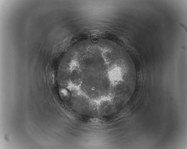 X0000103310703200809122052