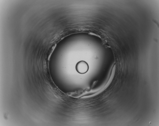 X0000103310704200809122052