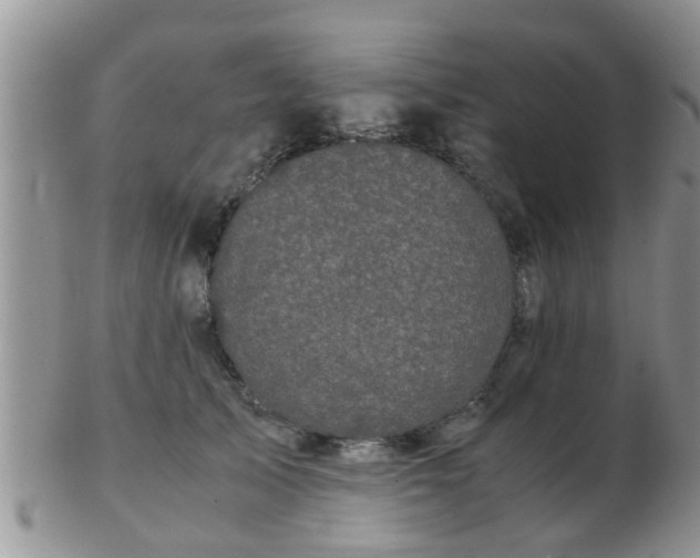 X0000103310705200809122052