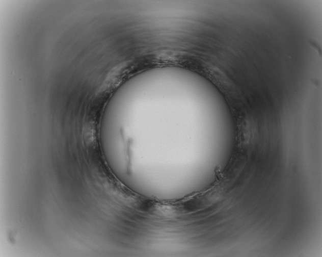 X0000103310706200809122052
