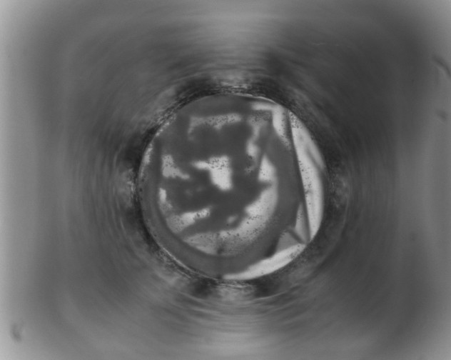 X0000103310707200809122052
