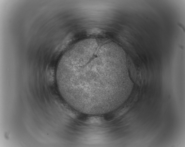 X0000103310708200809122052