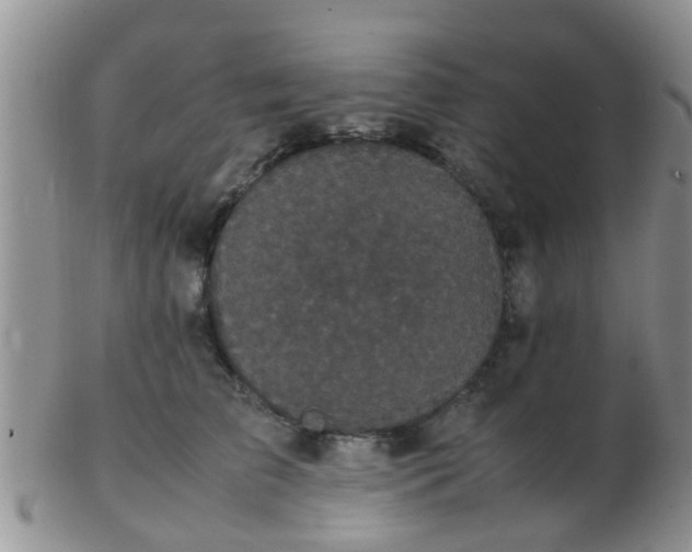 X0000103310709200809122052