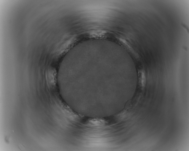X0000103310712200809122052