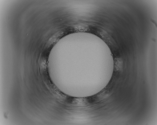 X0000103310713200809122052
