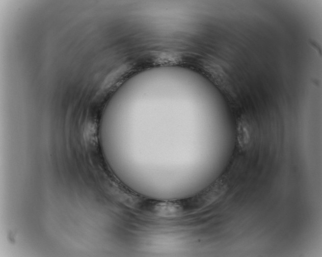 X0000103310714200809122052