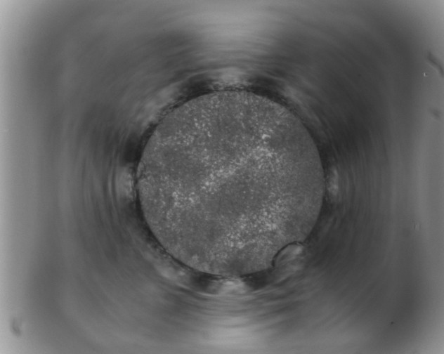 X0000103310715200809122052