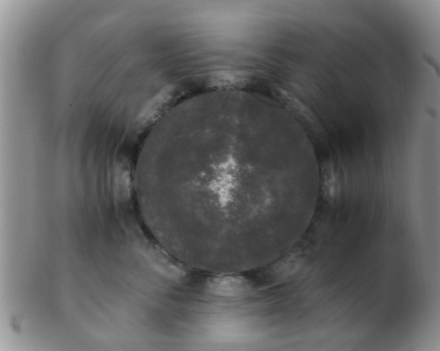 X0000103310716200809122052