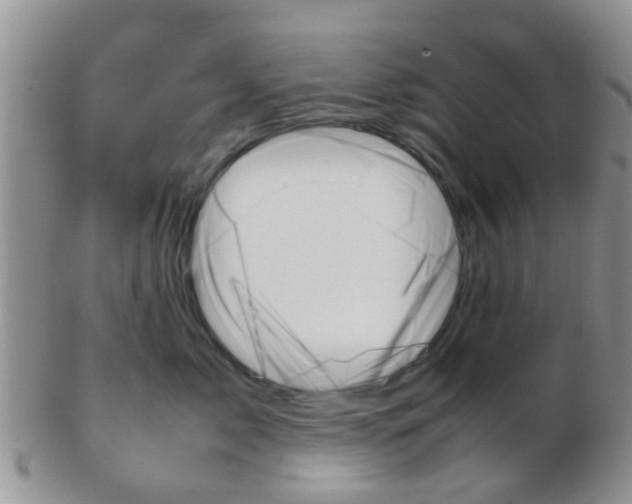 X0000103310717200809122052