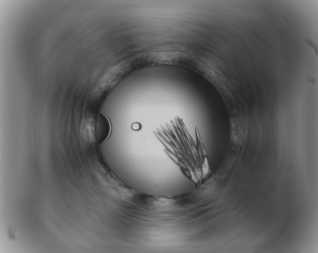 X0000103310718200809122052