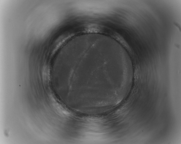 X0000103310722200809122051
