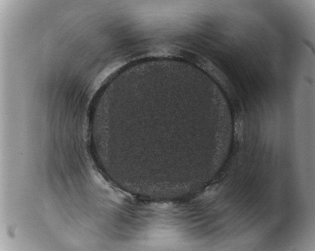 X0000103310724200809122051