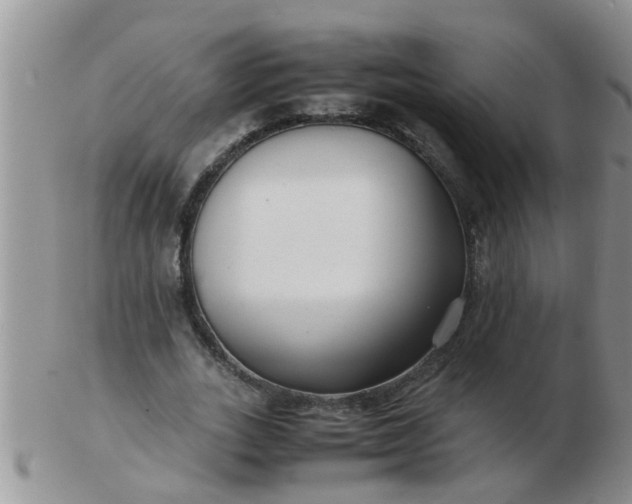 X0000103310727200809122051