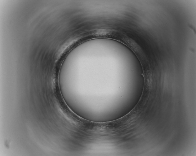 X0000103310728200809122051