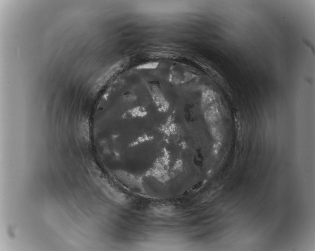 X0000103310729200809122051