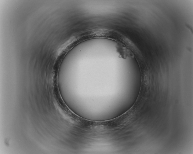X0000103310730200809122051