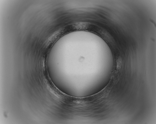 X0000103310733200809122051