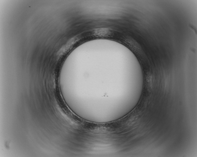 X0000103310734200809122051