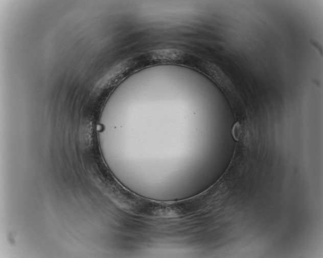 X0000103310735200809122051
