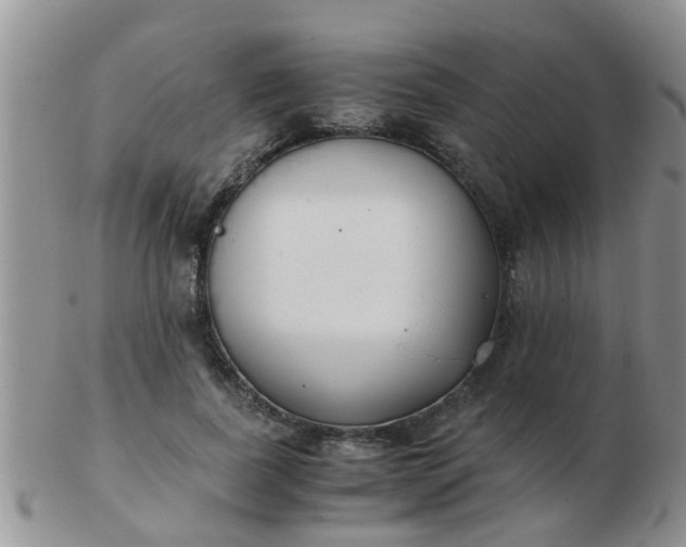 X0000103310739200809122051