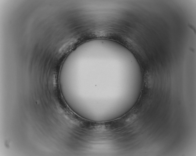 X0000103310740200809122051